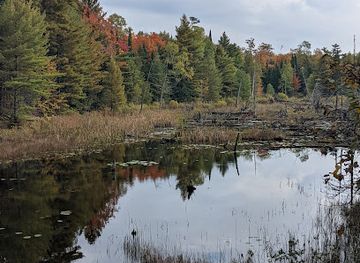 michigan/copper-harbor/landmark/estivant-pines-wilderness-nature-sanctuary