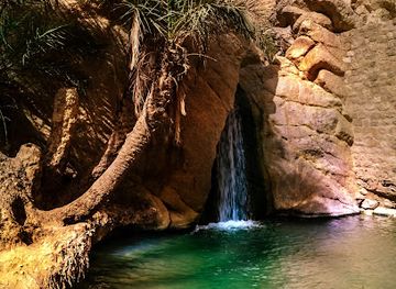 tunisia/tamerza/landmark/chebika-oasis