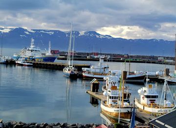 iceland/husavik-area/landmark/salka-restaurant
