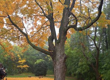 rhode-island/bristol-county/landmark/thomas-fenner-house