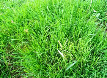 uzbekistan/andijan/landmark/andijon-tumani