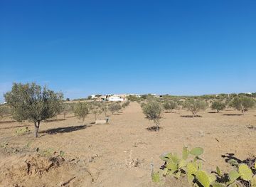 tunisia/hammamet/landmark/salma-evasion-quad