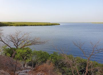the-gambia/jarra-west/landmark/saloum-delta