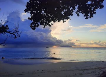 seychelles/ile-cocos/landmark/green-coconut