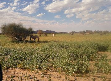 mauritania/adrar/landmark/adrar-plateau