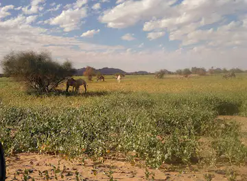 Adrar Plateau
