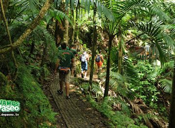 puerto-rico/caribbean-national-forest/landmark/cascada-la-mina