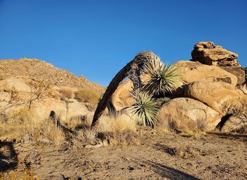 california/joshua-tree-national-park/landmark/desert-view-conservation-area