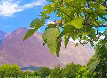 pakistan/gilgit/landmark/google-map-gilgit-baltistan