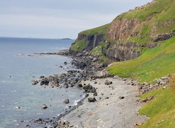 united-kingdom/isle-of-mull/attraction/fossil-tree-2