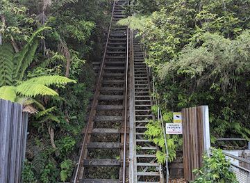 Scenic World