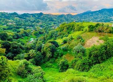 saint-vincent-and-the-grenadines/saint-george/landmark/mesopotamia