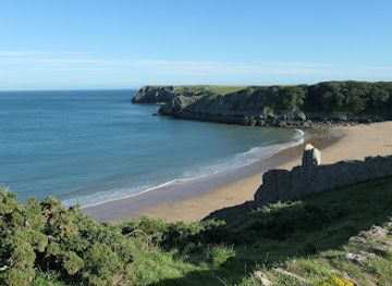 united-kingdom/pembrokeshire-coast-national-park/attraction/stackpole-walled-gardens-2