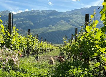 albania/gjirokaster/landmark/the-barrels-ms-te-fucite