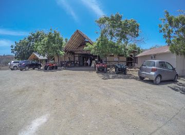 curacao/scharloo/landmark/curacao-ostrich-farm