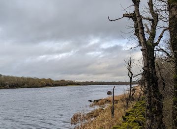 ireland/connemara-national-park/landmark/coole-park-nature-reserve