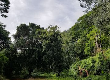 nicaragua/ometepe/landmark/reserva-natural-el-chocoyero-y-el-brujo