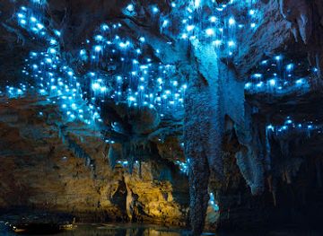 new-zealand/waitomo-caves/landmark/footwhistle-glowworm-cave
