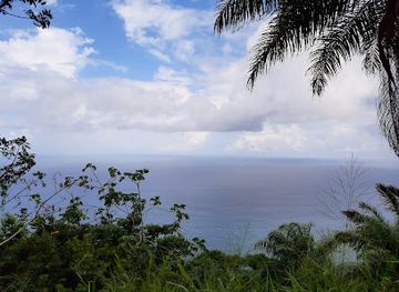 trinidad-and-tobago/couva-tabaquite-talparo/landmark/el-socorro-centre-for-wildlife-conservation