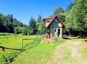 croatia/gorski-kotar/landmark/forest-fairytale