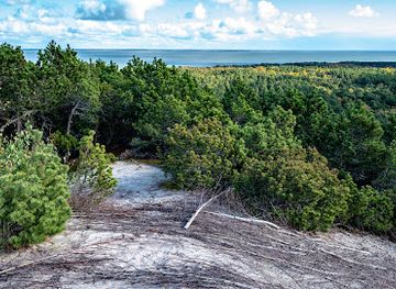 lithuania/curonian-spit-national-park/landmark/vecekrug-dune