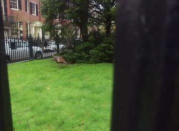 massachusetts/brockton/landmark/louisburg-square