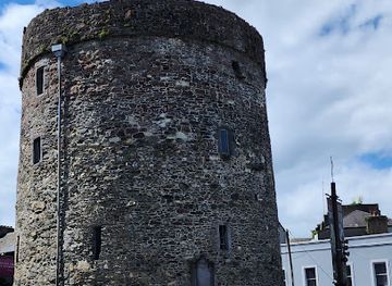 ireland/county-waterford/landmark/reginald-s-tower