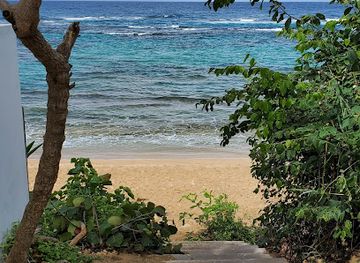 puerto-rico/isabela/landmark/shacks-beach