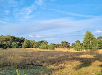 netherlands/veluwe-national-park/landmark/otterlose-bos