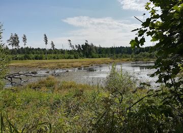 poland/suwalszczyzna/landmark/puszcza-romincka-landscape-park