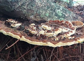 trinidad-and-tobago/port-of-spain/landmark/victoria-square
