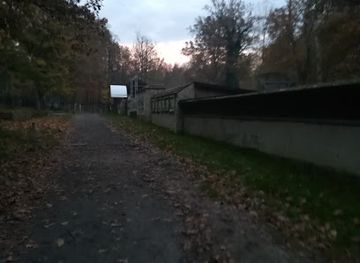 poland/słupsk/landmark/northern-forest