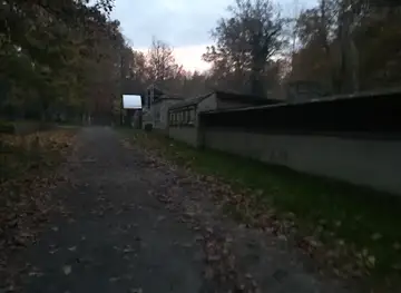 Northern Forest