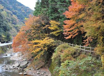 japan/kumano-kodo/landmark/kumano-kodo-information-center