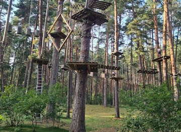 latvia/teici-nature-reserve/landmark/daugavpils-tarzans