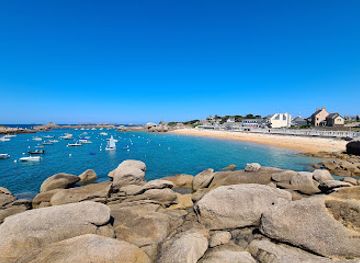 france/côte-de-granit-rose/landmark/plage-ile-renote