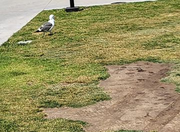 mexico/northern-mexico/landmark/mexican-plateau