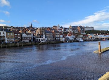 united-kingdom/whitby/attraction/whitby-whale-watching-2