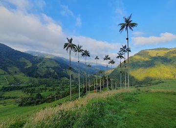 colombia/armenia/landmark/cocora-valley