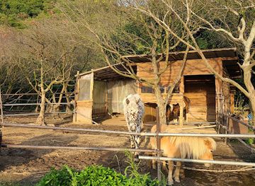 japan/awaji/landmark/awajijanohire-outdoor-resort