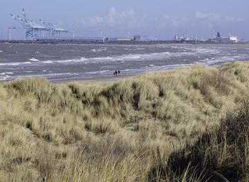 belgium/bruges-coast/landmark/the-fountains