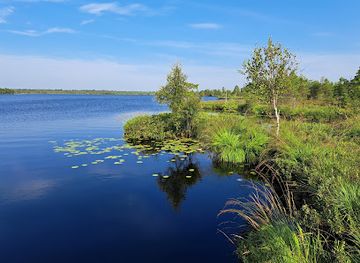 estonia/saaremaa/landmark/koigi-bog-and-hiking-path