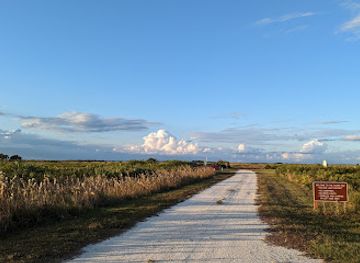 florida/nature-coast/landmark/kissimmee-prairie-preserve-state-park