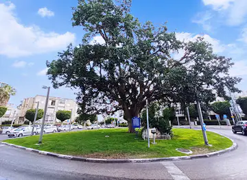 Kikar HaShiva