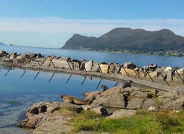 norway/more-og-romsdal/landmark/atlantic-sea-park