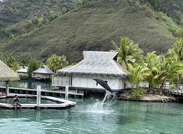 french-polynesia/moorea/landmark/moorea-dolphin-center
