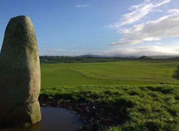 ireland/county-kildare/landmark/kilgowan-standing-stone