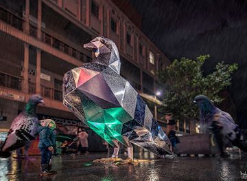 australia/adelaide/landmark/pigeon-sculpture