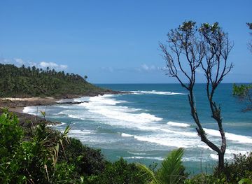 brazil/itacare/landmark/conduru-ecoturismo