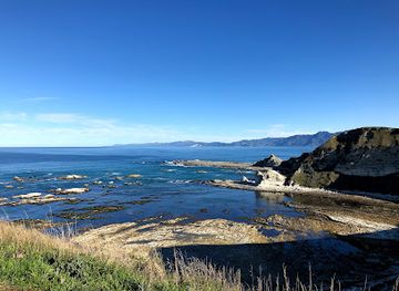 new-zealand/kaikoura/landmark/whalers-bay